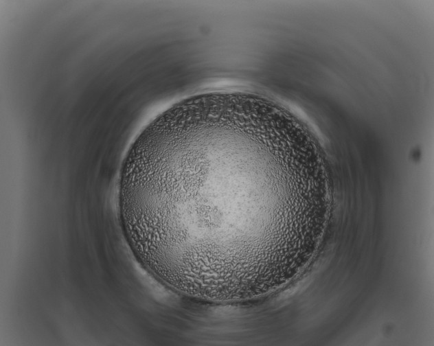 X0000094771421200711241307