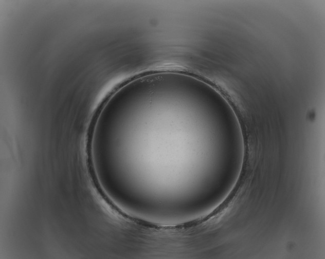 X0000094771422200711241307