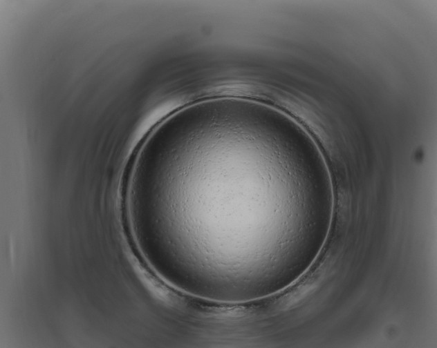 X0000094771426200711241307