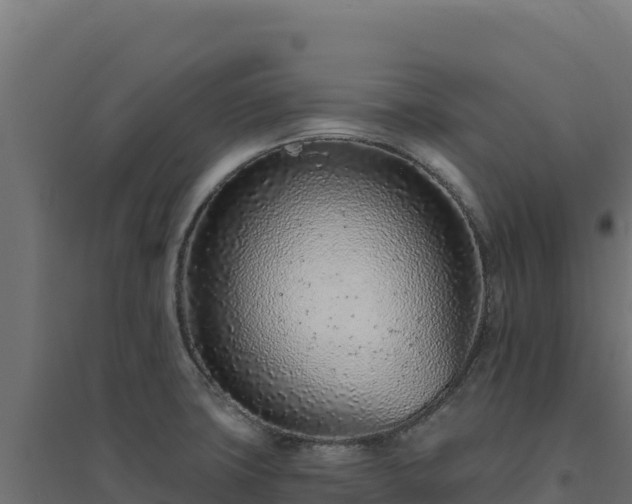 X0000094771427200711241307