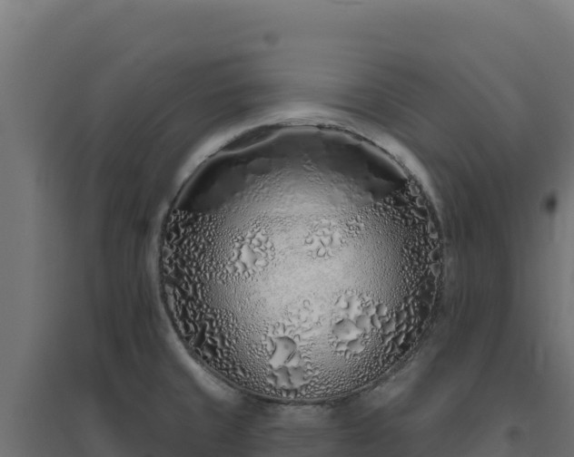 X0000094771429200711241307