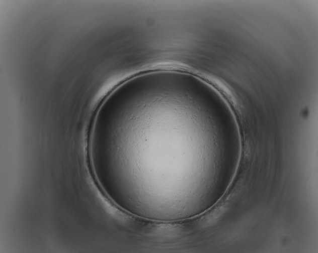 X0000094771430200711241307