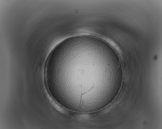 X0000094771431200711241307