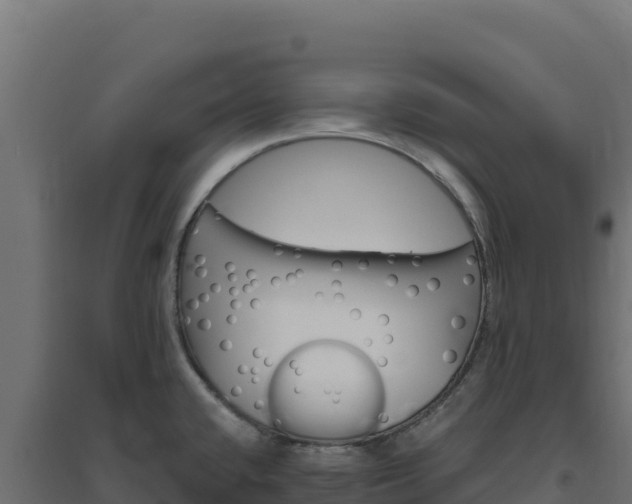 X0000094771432200711241307