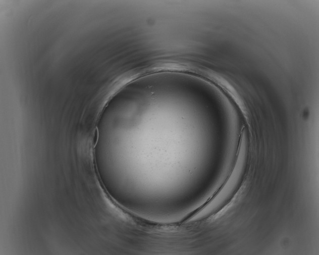 X0000094771433200711241307