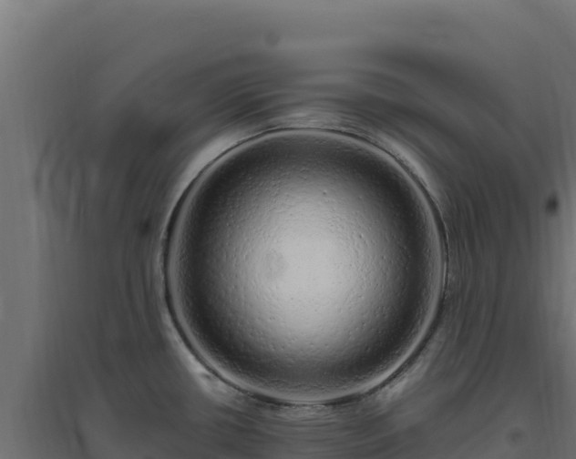 X0000094771434200711241307