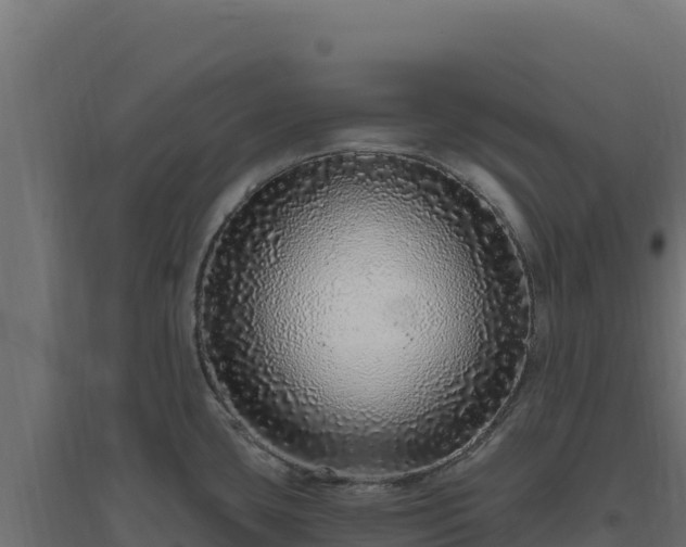 X0000094771435200711241307