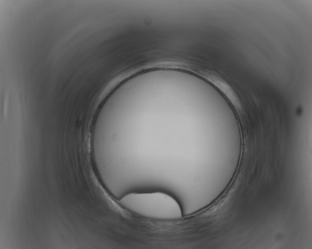 X0000094771436200711241307