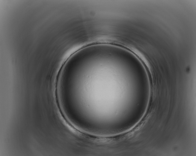 X0000094771437200711241307