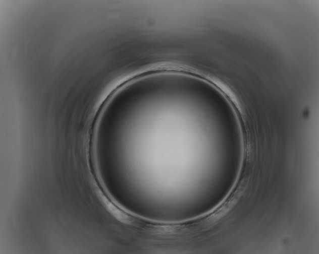 X0000094771438200711241307