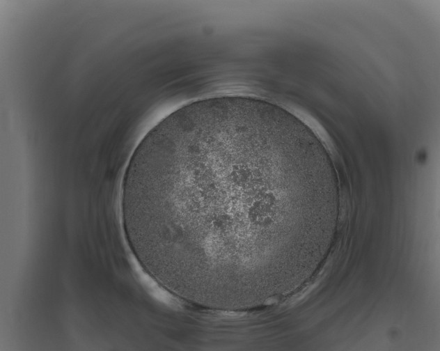 X0000094771439200711241307