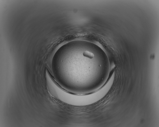 X0000094771441200711241306