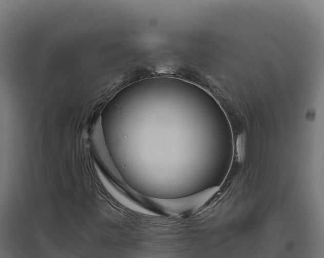 X0000094771443200711241306