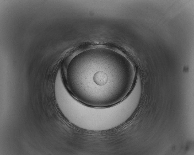 X0000094771444200711241306