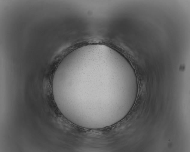 X0000094771446200711241306