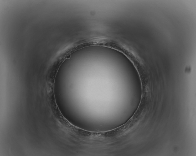 X0000094771447200711241306