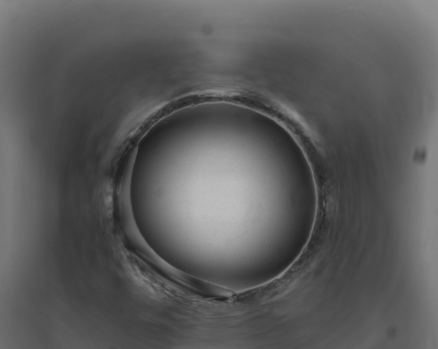 X0000094771448200711241306