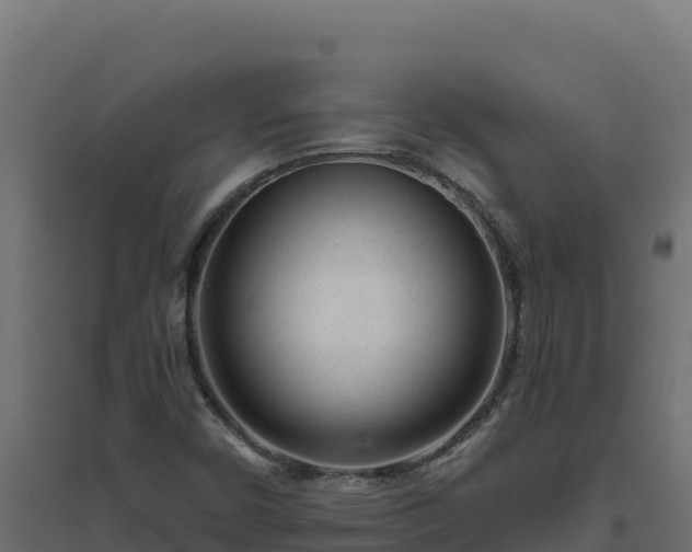 X0000094771450200711241306