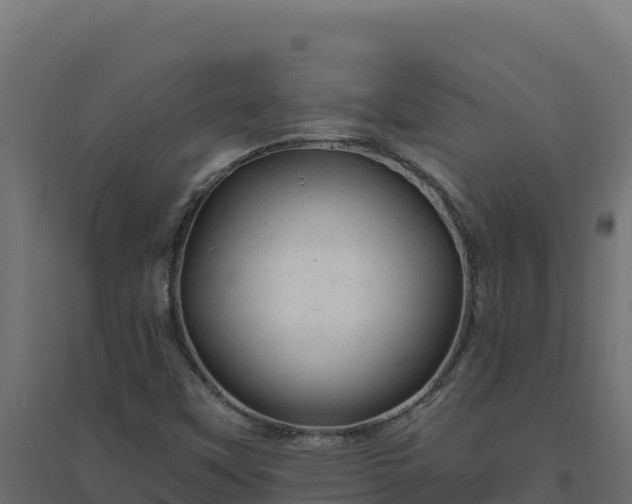 X0000094771451200711241306