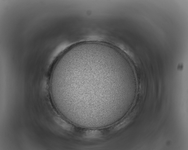 X0000094771454200711241306