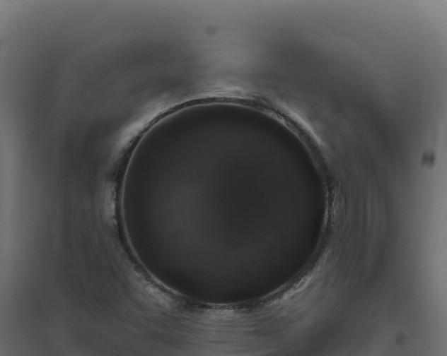 X0000094771455200711241306