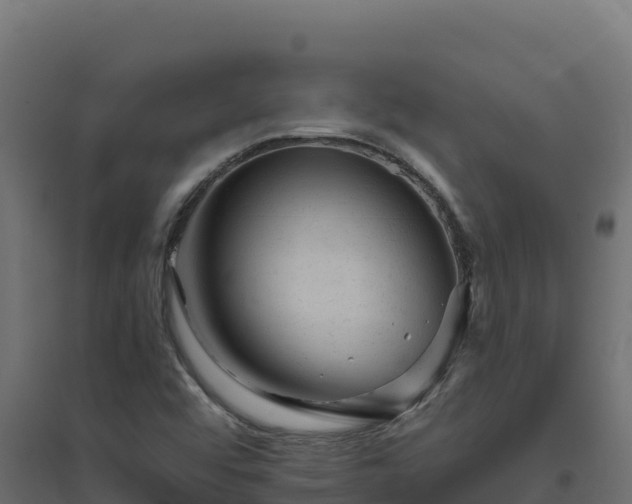 X0000094771456200711241306