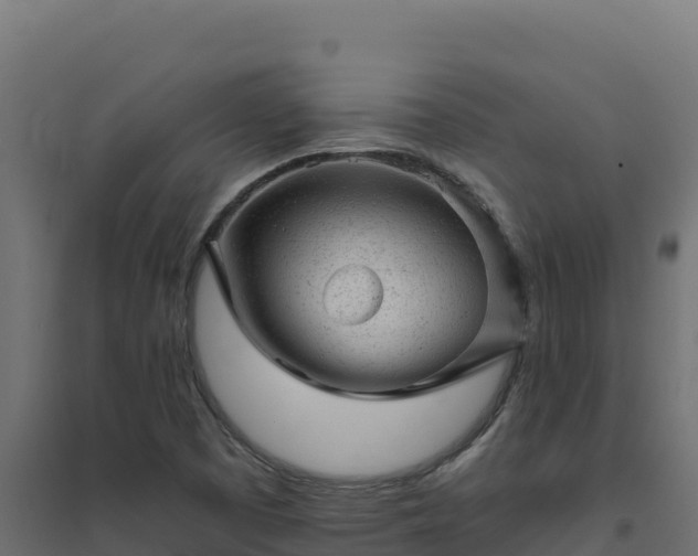 X0000094771457200711241306