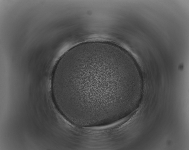 X0000094771459200711241306