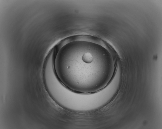 X0000094771460200711241306