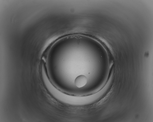 X0000094771461200711241306