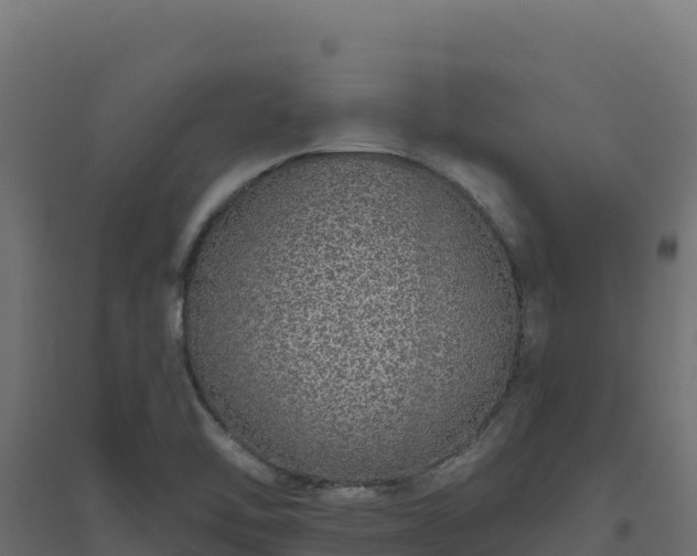 X0000094771462200711241306