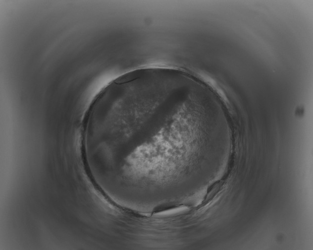 X0000094771463200711241306