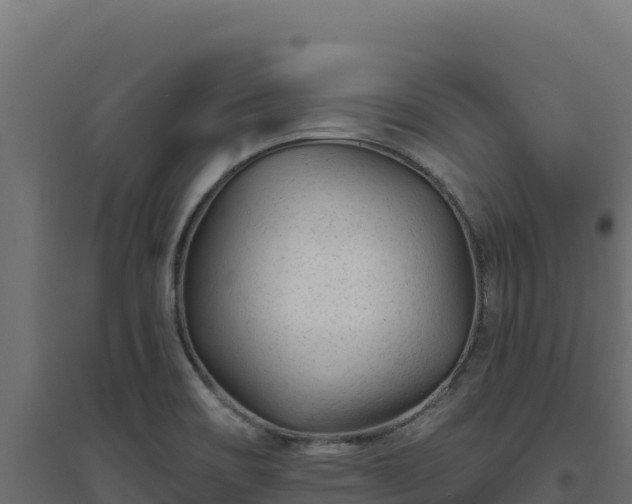 X0000094771466200711241306