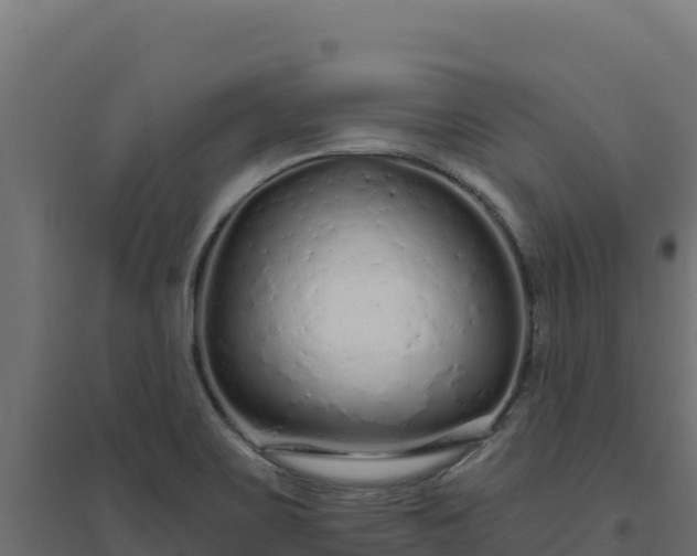 X0000094771467200711241306