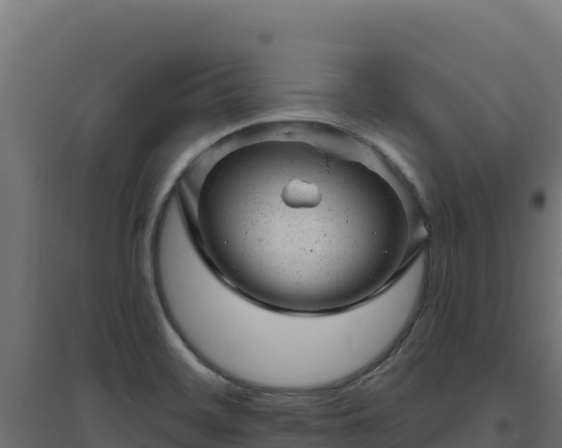 X0000094771468200711241306