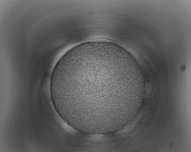 X0000094771470200711241306