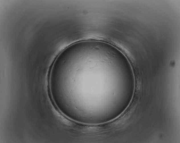 X0000094771471200711241306