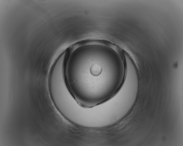 X0000094771472200711241306