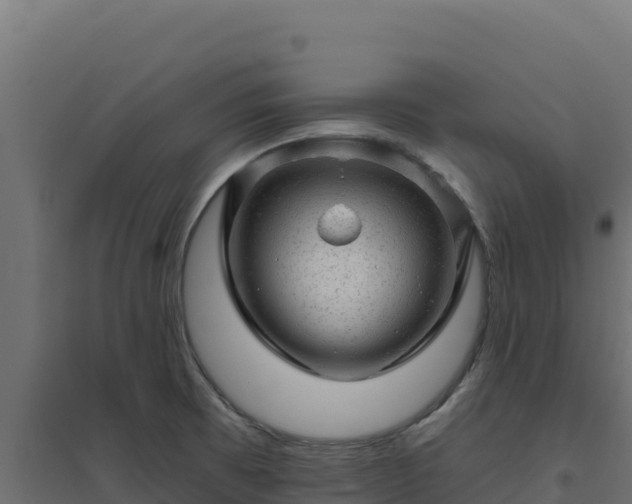 X0000094771473200711241306