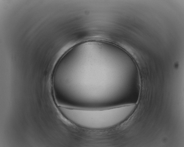 X0000094771474200711241306