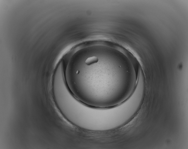 X0000094771477200711241306