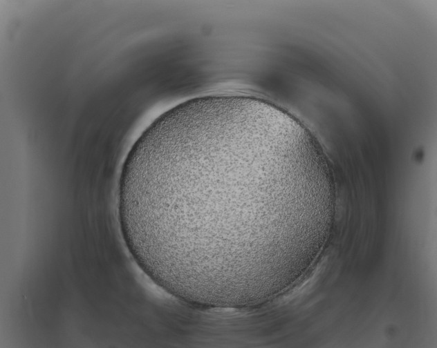 X0000094771478200711241306