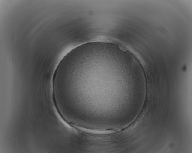 X0000094771479200711241306