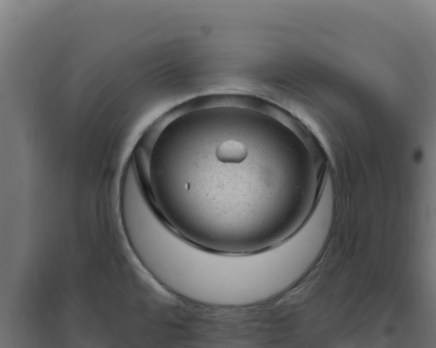 X0000094771480200711241306