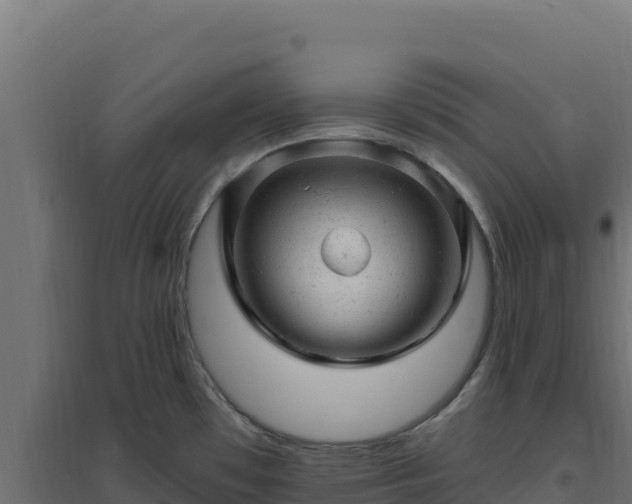 X0000094771481200711241306