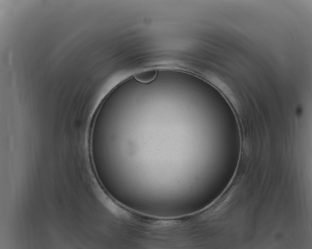 X0000094771482200711241306