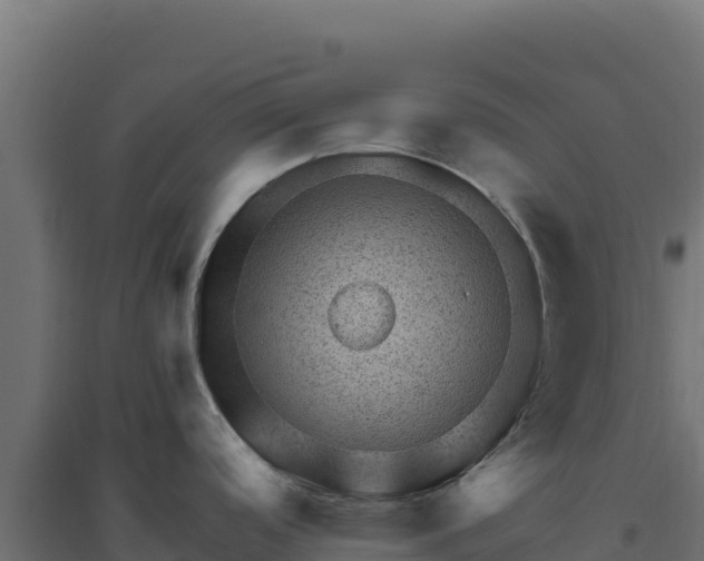 X0000094771488200711241306