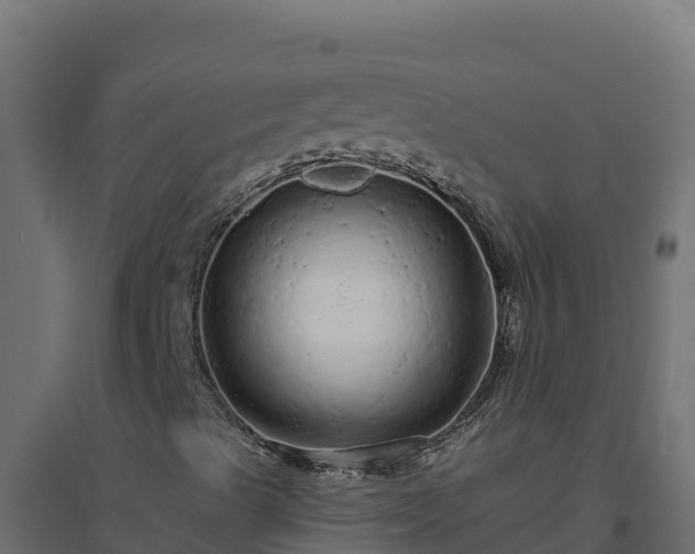 X0000094771489200711241305