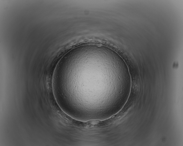 X0000094771490200711241305