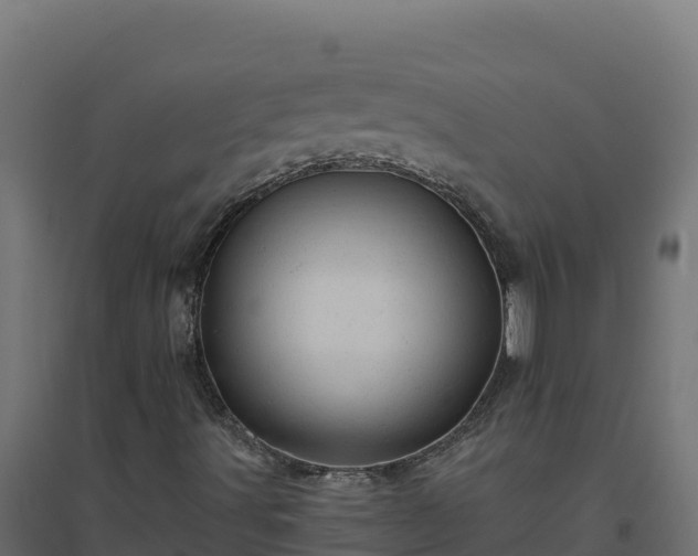 X0000094771491200711241305